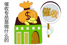 金阳融资清欠服务